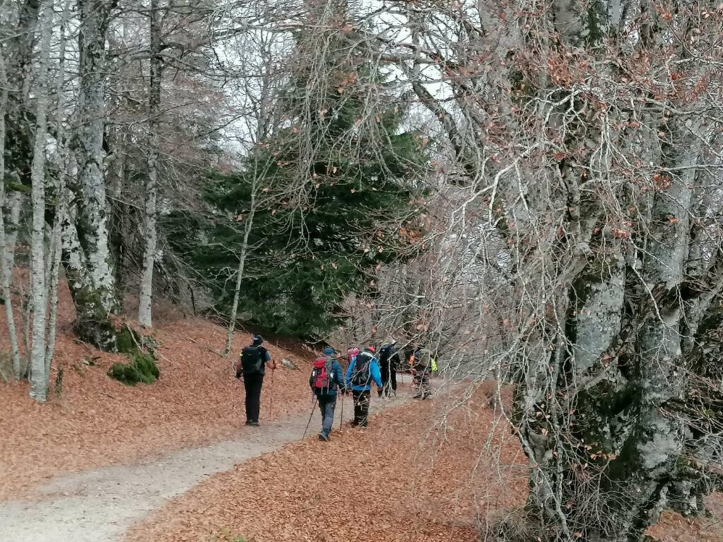 La RANDO BELLEGARDAISE vers le lac des Pises