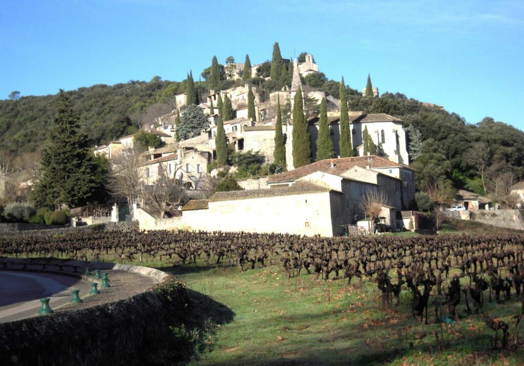 Saint Michel d'Euzet le 26 janvier 2025 - Rando Bellegardaise