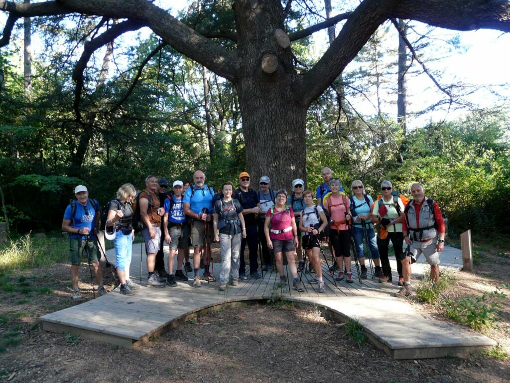 Cazevieille - St Jean du Pin le 12 octobre 2025 – Rando Bellegardaise