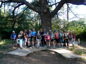 Cazevieille - St Jean du Pin le 12 octobre 2025 – Rando Bellegardaise