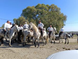 Marche nordique guingette rando bellegardaise
