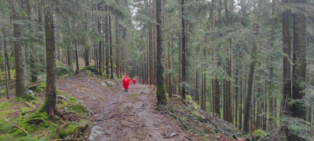 Semaine dans les Vosges - Rando Bellegardaise