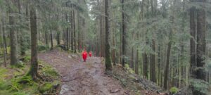 Semaine dans les Vosges - Rando Bellegardaise