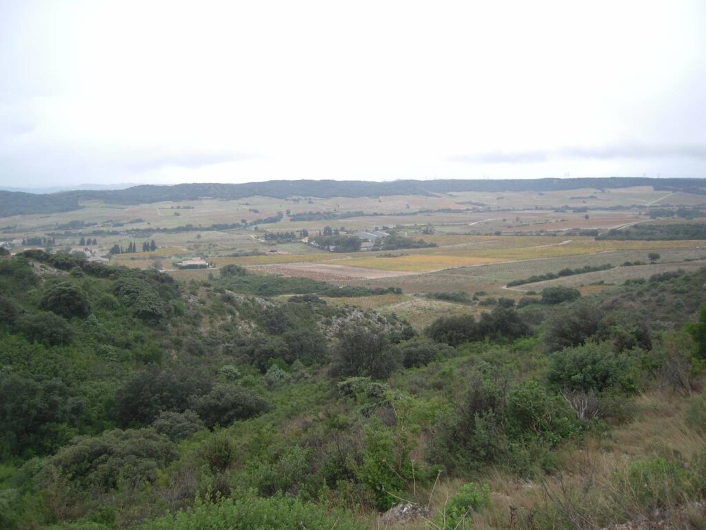 Tavel le 02 novembre 2025 – Rando Bellegardaise