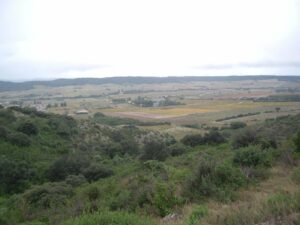 Tavel le 02 novembre 2025 – Rando Bellegardaise