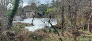 Du château des Evêques à la Mosson le 15 février 2026– Rando Bellegardaise.