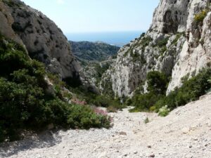 Randonnée Difficile - Calanque de Podestat et sommet de Marseilleveyre le 26 avril 2026.– Rando Bellegardaise