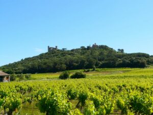 Vénéjean les collines Rhodaniennes le 17 mai 2026. – Rando Bellegardaise.